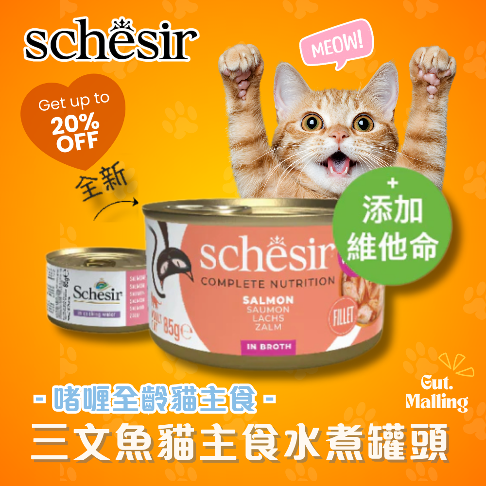 Schesir - 三文魚貓主食水煮罐頭85g|最平$13.5/罐
