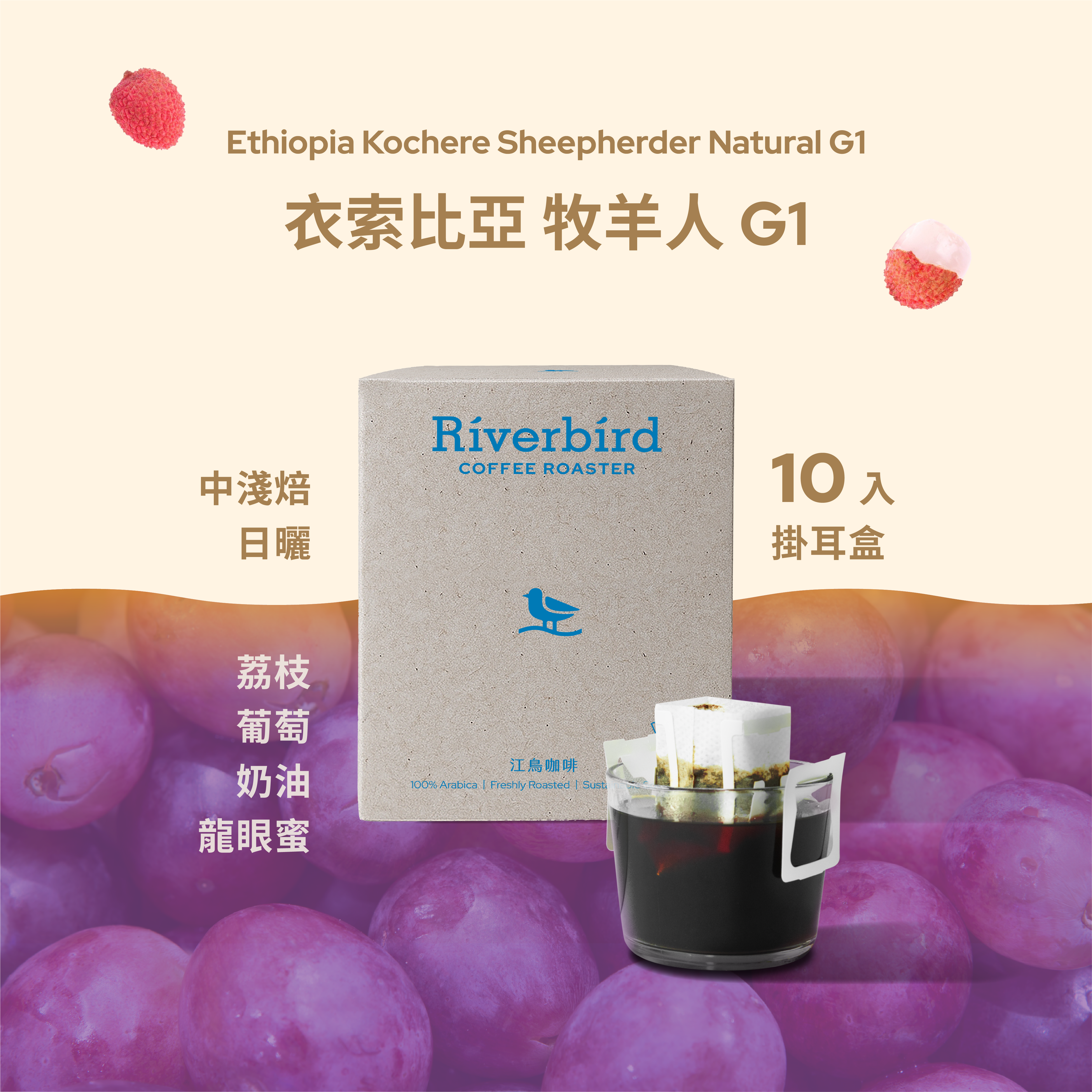 【一期一會】《10入掛耳》衣索比亞 牧羊人G1 中淺/日曬