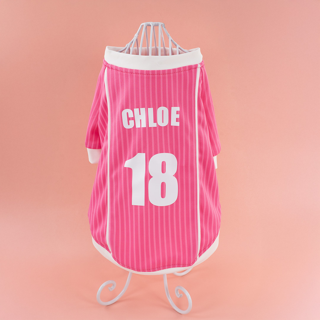 Soccer Jersey (Pink)