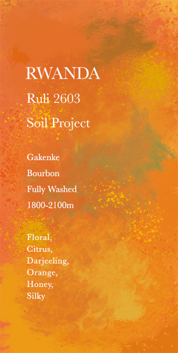 盧旺達 Ruli 2603 - 26 年 2 月烘焙