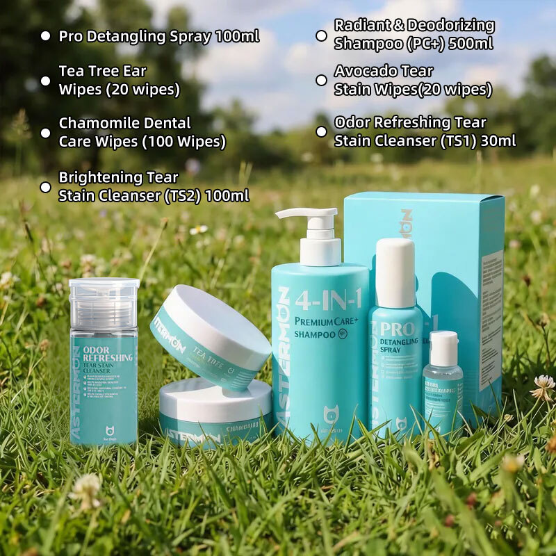 New Year Promotion - All-in-One Combo Series