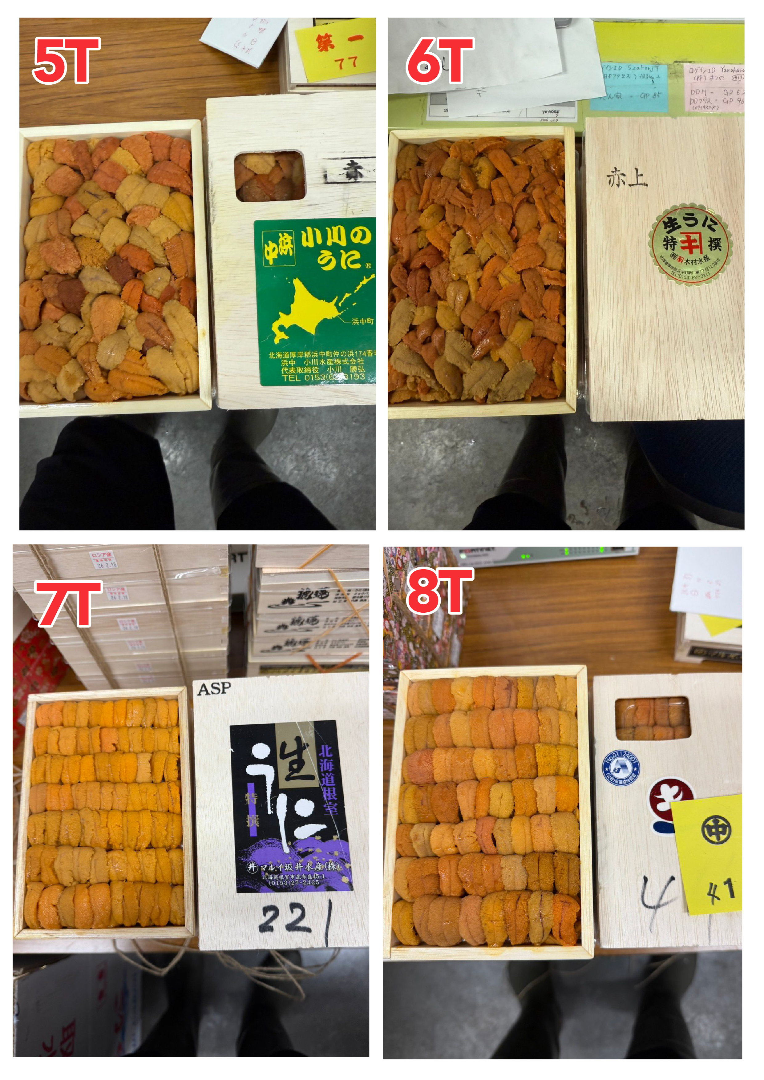 【指定海膽推薦】每天更新 (限即日落單, 翌日送)