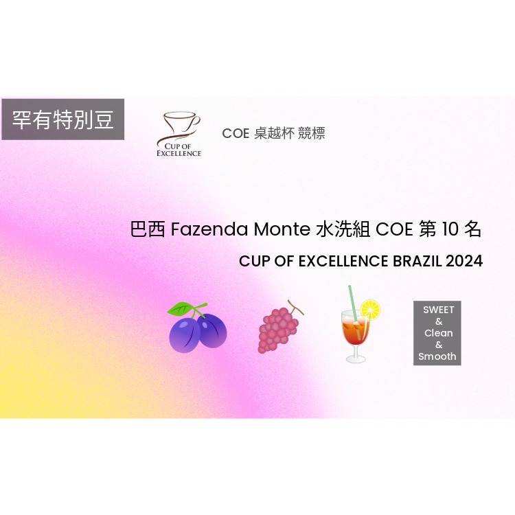 COE 比賽 2024 巴西 Fazenda Monte 水洗組 第 10 名
