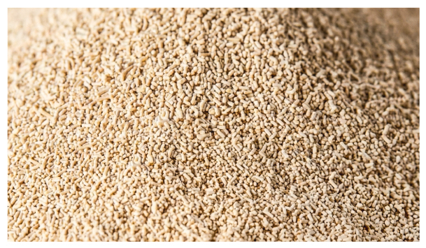 酵母鋅是什麼，不能跟什麼一起吃