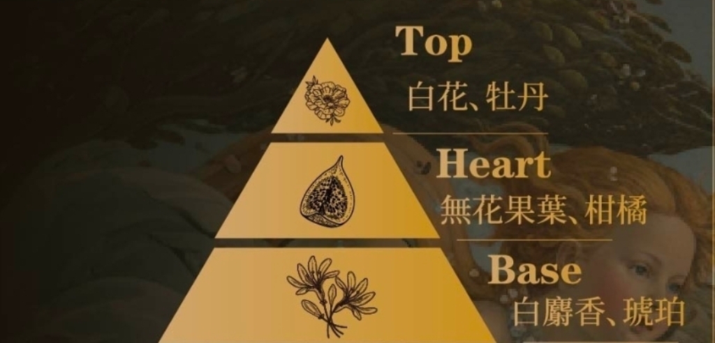 維納斯光韻香調金字塔