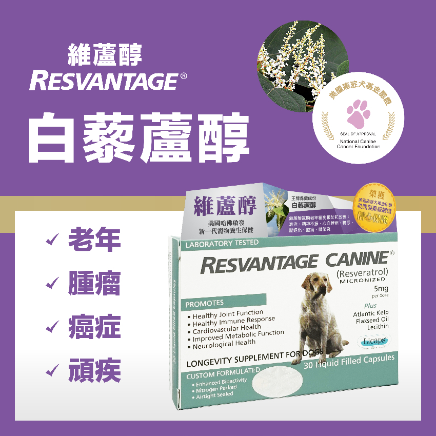 Resvantage Canine 維蘆醇白藜蘆醇（犬用30粒裝）