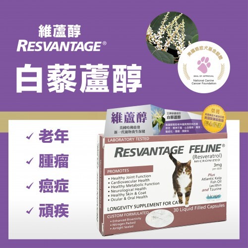 Resvantage Canine 維蘆醇白藜蘆醇（貓用30粒裝）