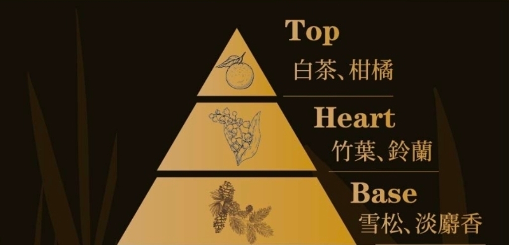 白茶竹露香調金字塔