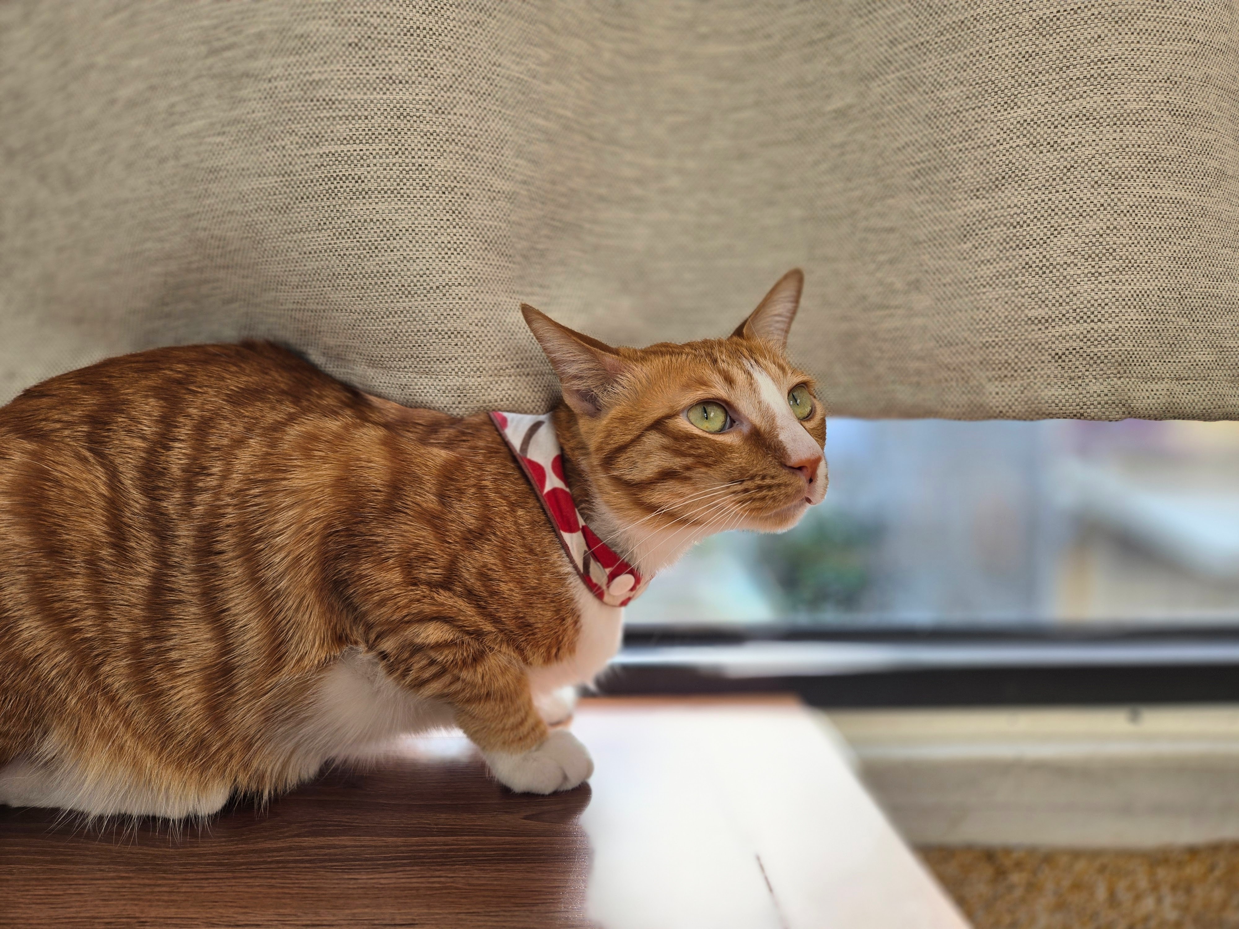 北鼎粉漾壺指定使用清潔劑