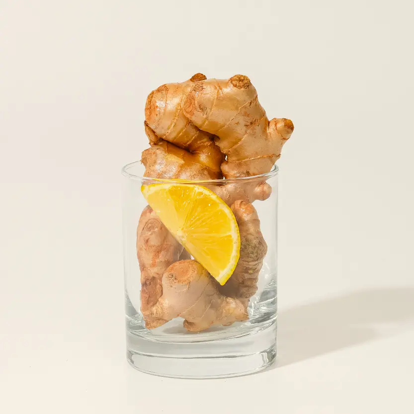 LATIB 檸檬生薑免疫能量飲 25ml【一盒14件】