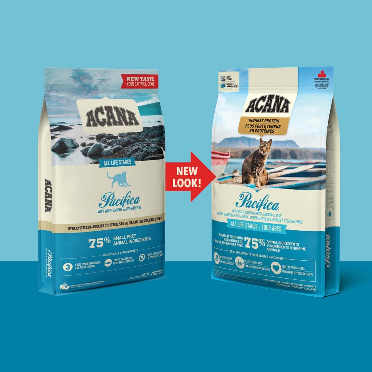 愛肯拿海洋盛宴貓-多種魚+玫瑰果|貓飼料