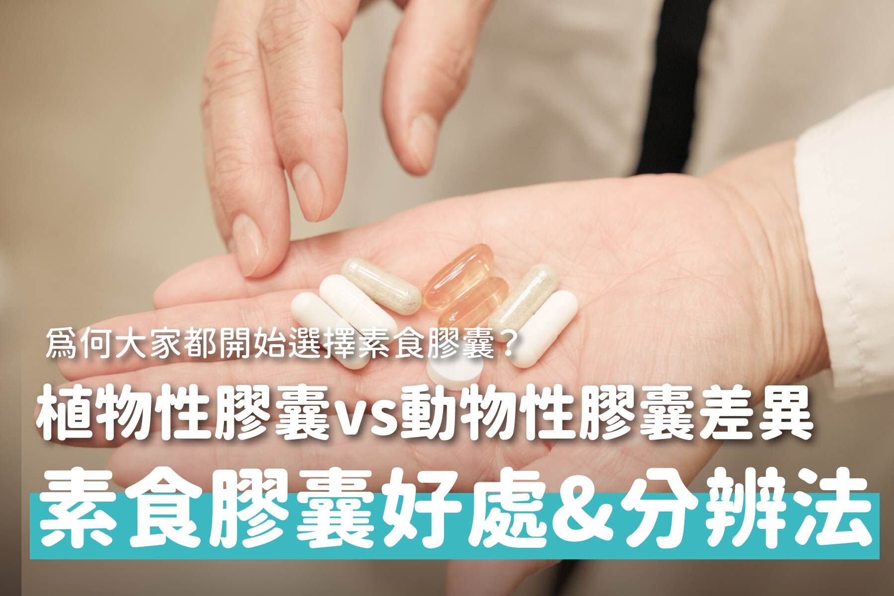 什麼是素食膠囊？植物性膠囊的來源與成分，植物性膠囊和動物性膠囊差在哪？