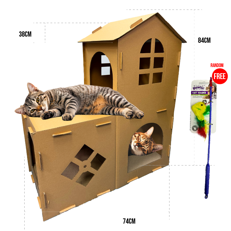 Pawise | 雙層貓抓屋 (NO.28455)