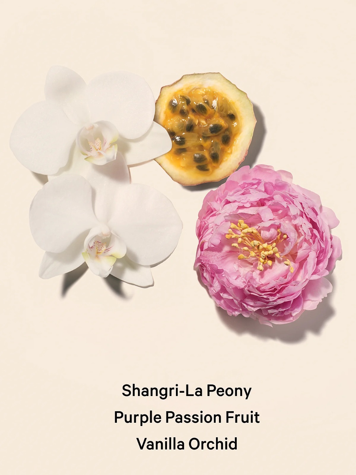 OBS354 Victoria’s Secret 2-Piece 香水＋身体乳 礼盒