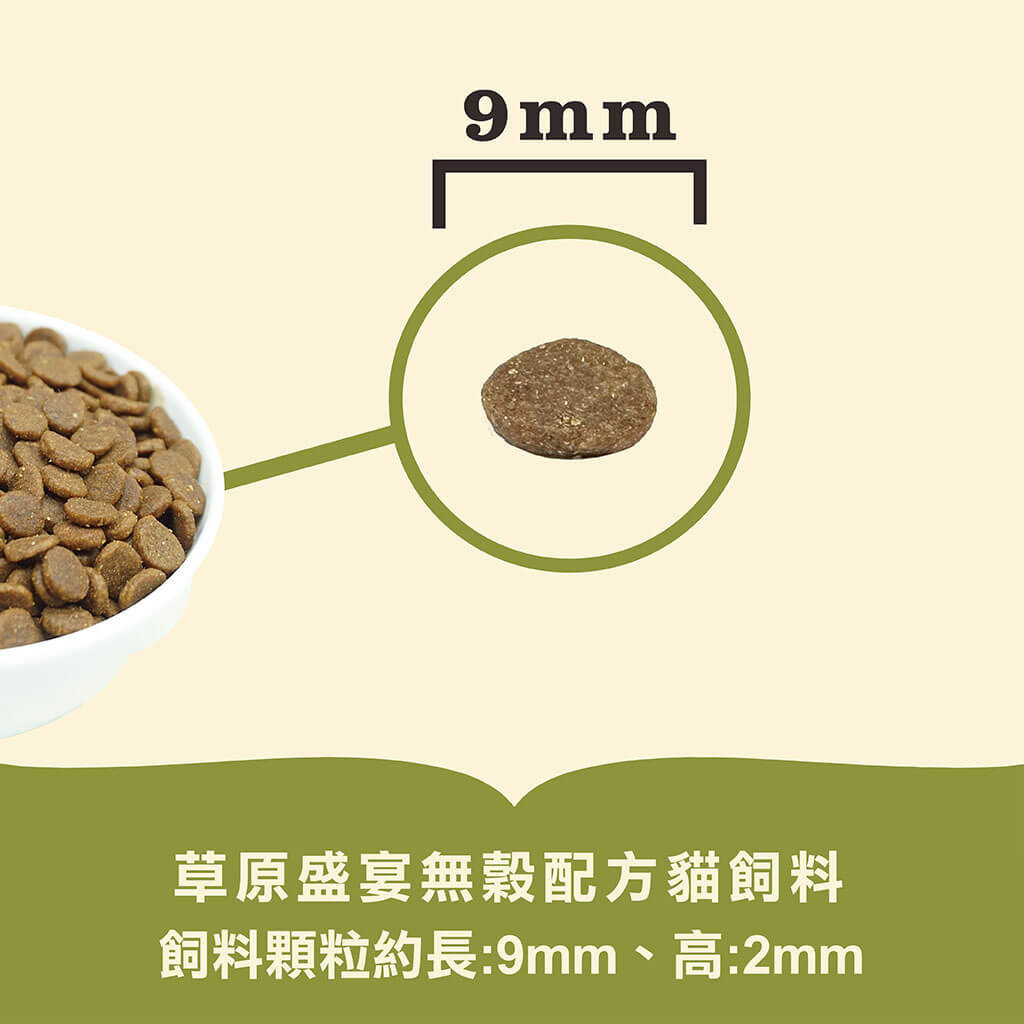 愛肯拿草原盛宴貓-鴨肉+薑黃|貓飼料