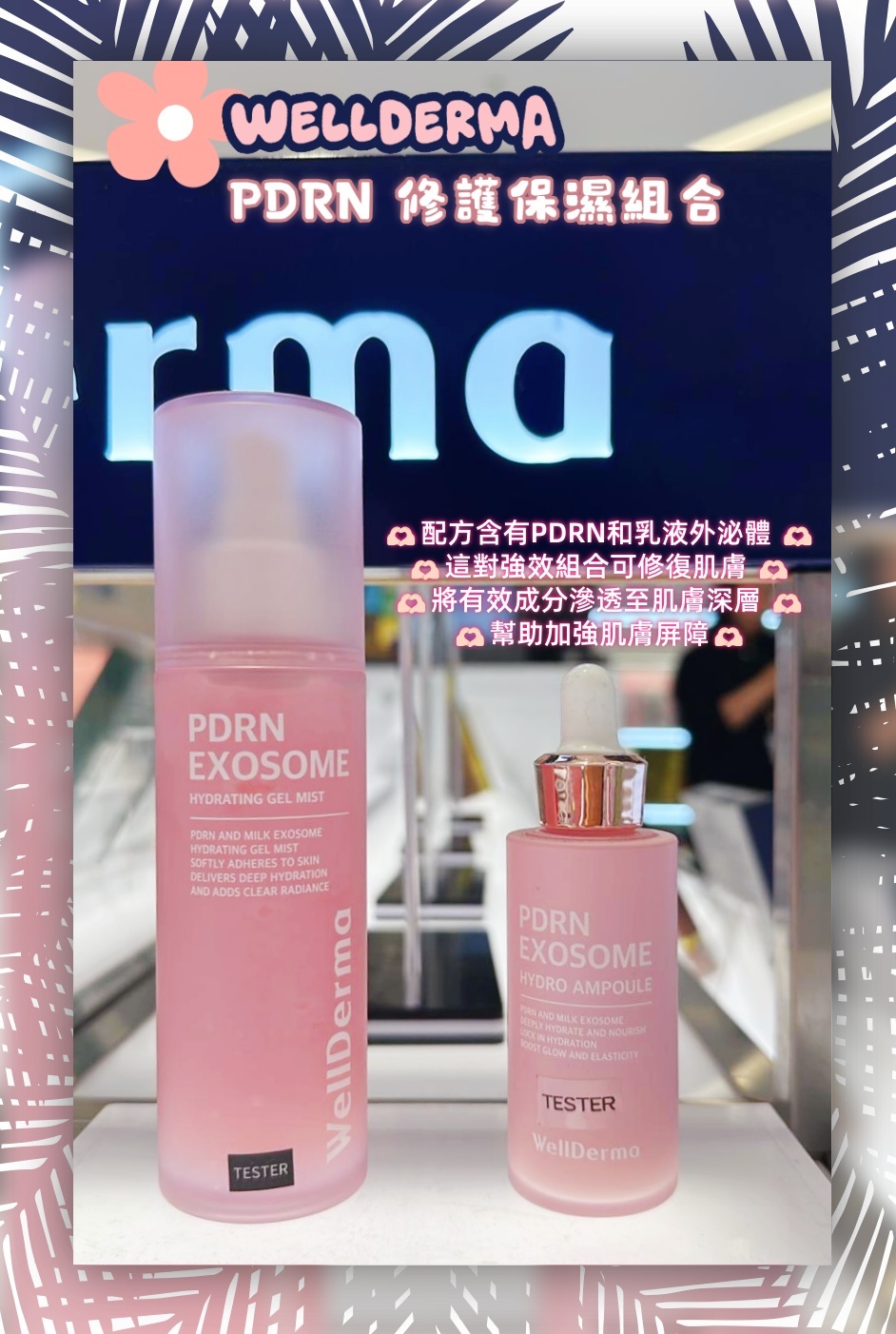 韓國代購 Wellderma PDRN強效修護組合（精華+噴霧）