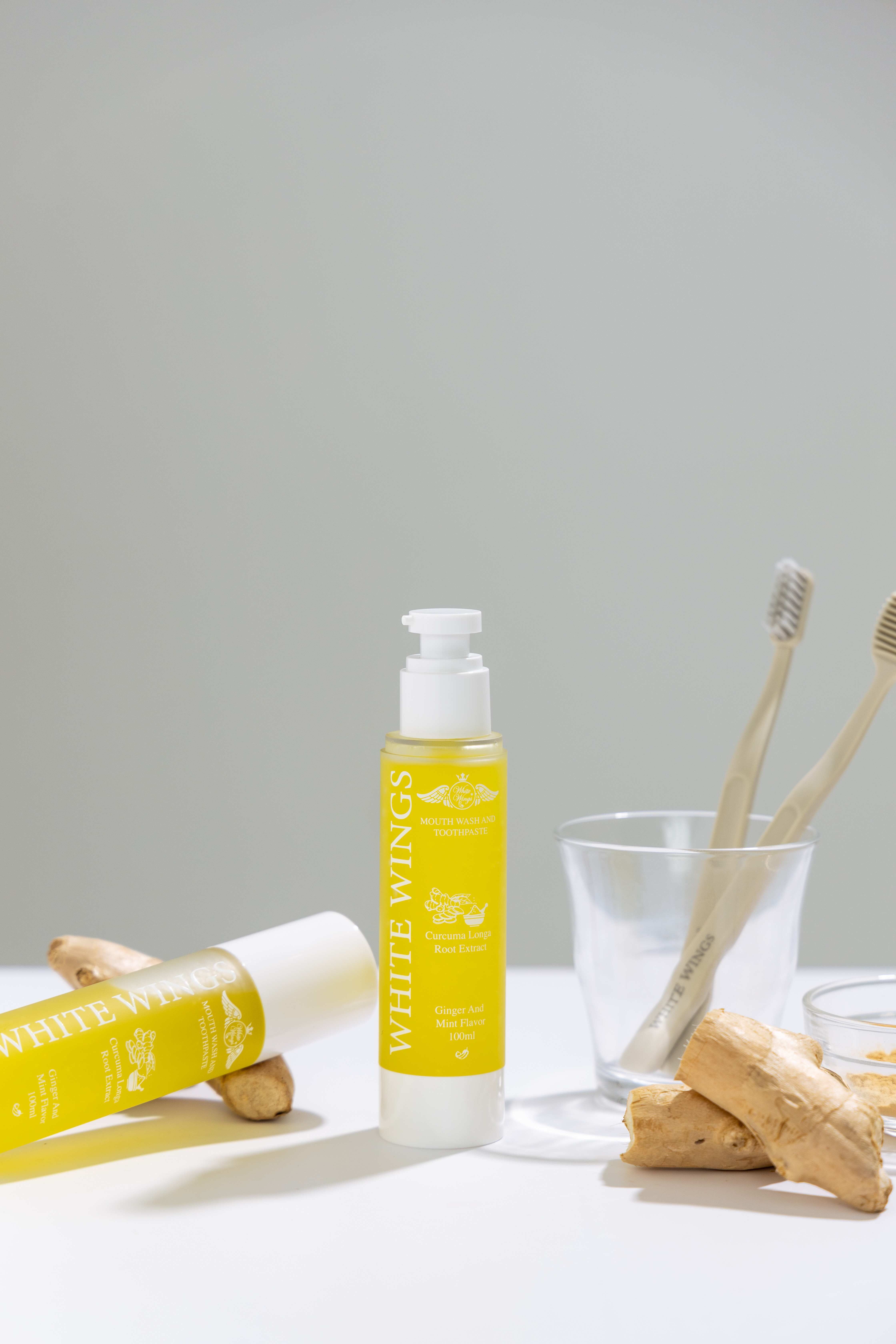 溫和牙膏哪裡買?溫和植萃牙膏推薦:白色翅膀