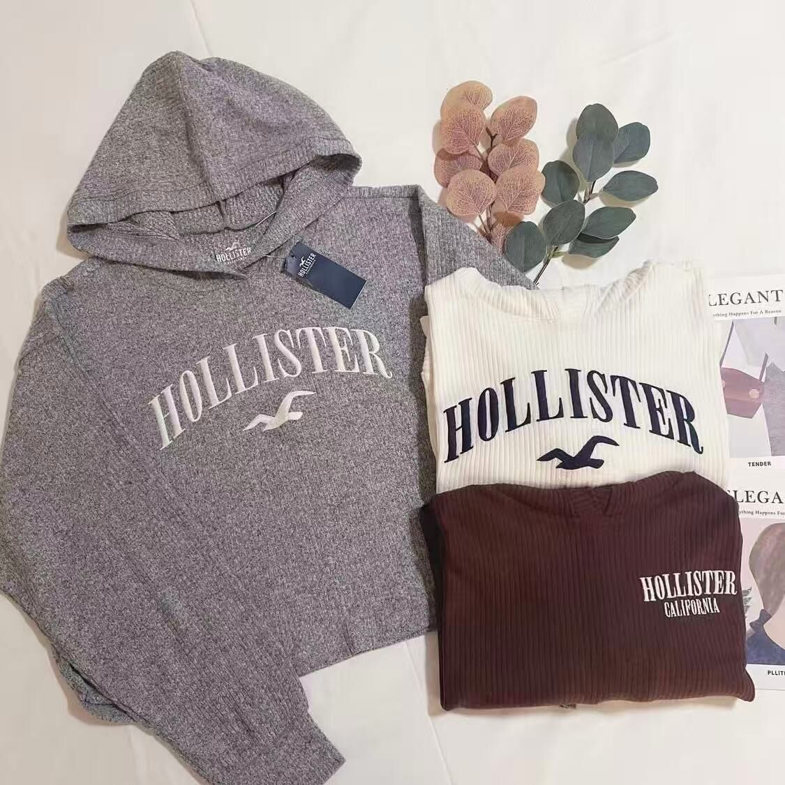 HOLLISTER LOGO RIB KNIT HOODIES