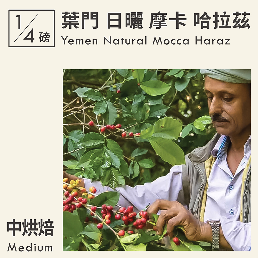 葉門 日曬 摩卡 哈拉茲 0.25磅