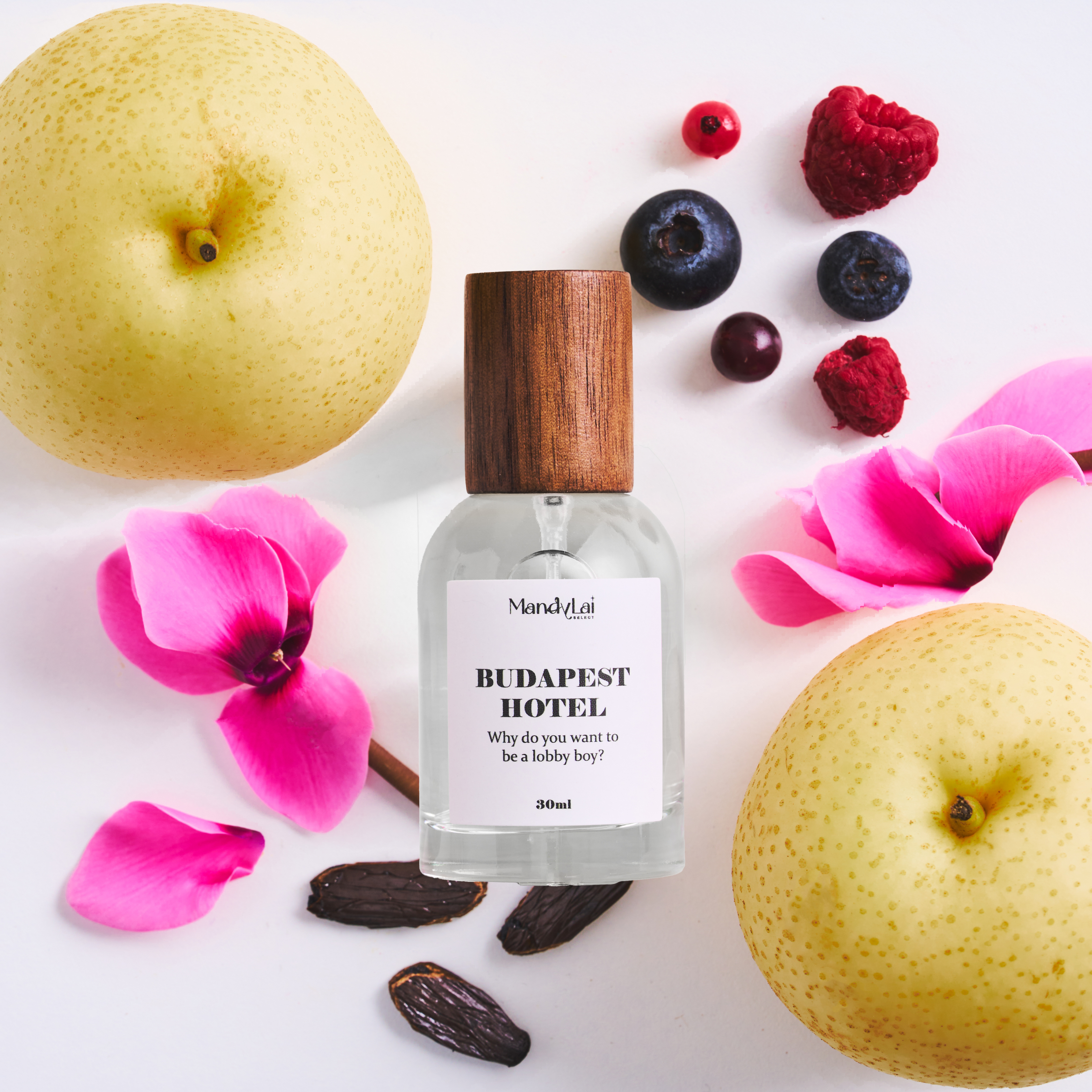 Budapest Hotel (布達佩斯飯店）