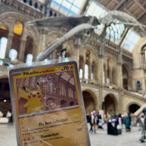 再*す様 【新品未開封】Pikachu at the Museum Pikachu at the Museum Pokémon Natural History Museum Promo (Jumbo