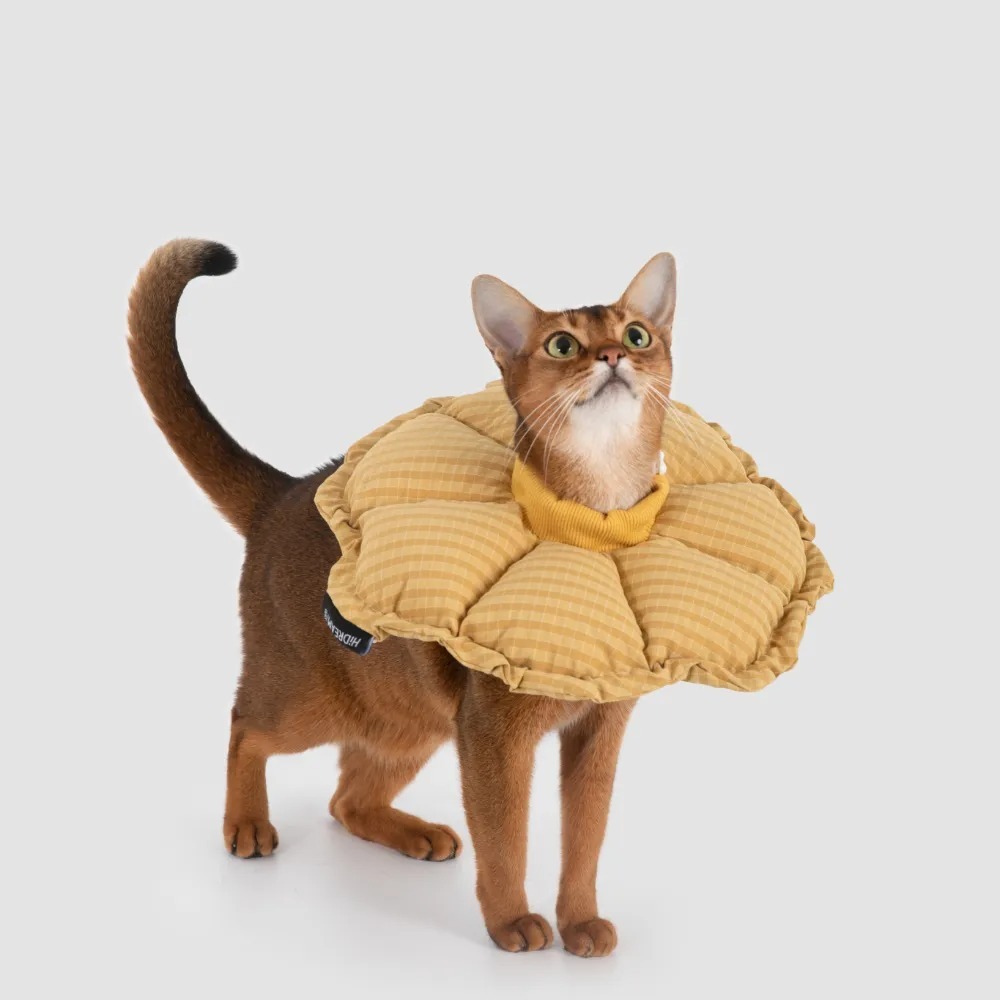 HIDREAM 貓狗通用 伊莉莎白圈．黃色 S