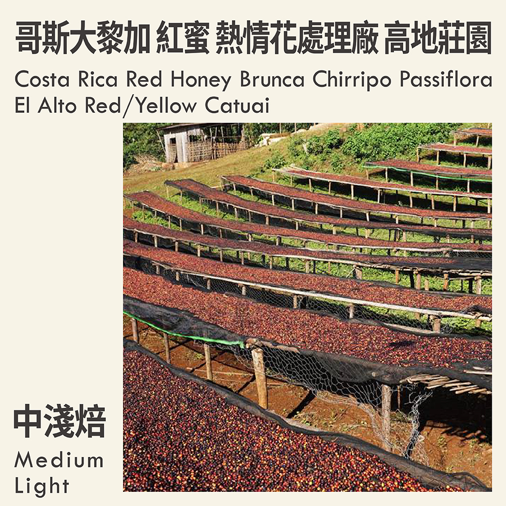 哥斯大黎加 紅蜜 布蘭卡 奇里波山谷 熱情花處理廠 高地莊園 紅卡杜艾/黃卡杜艾