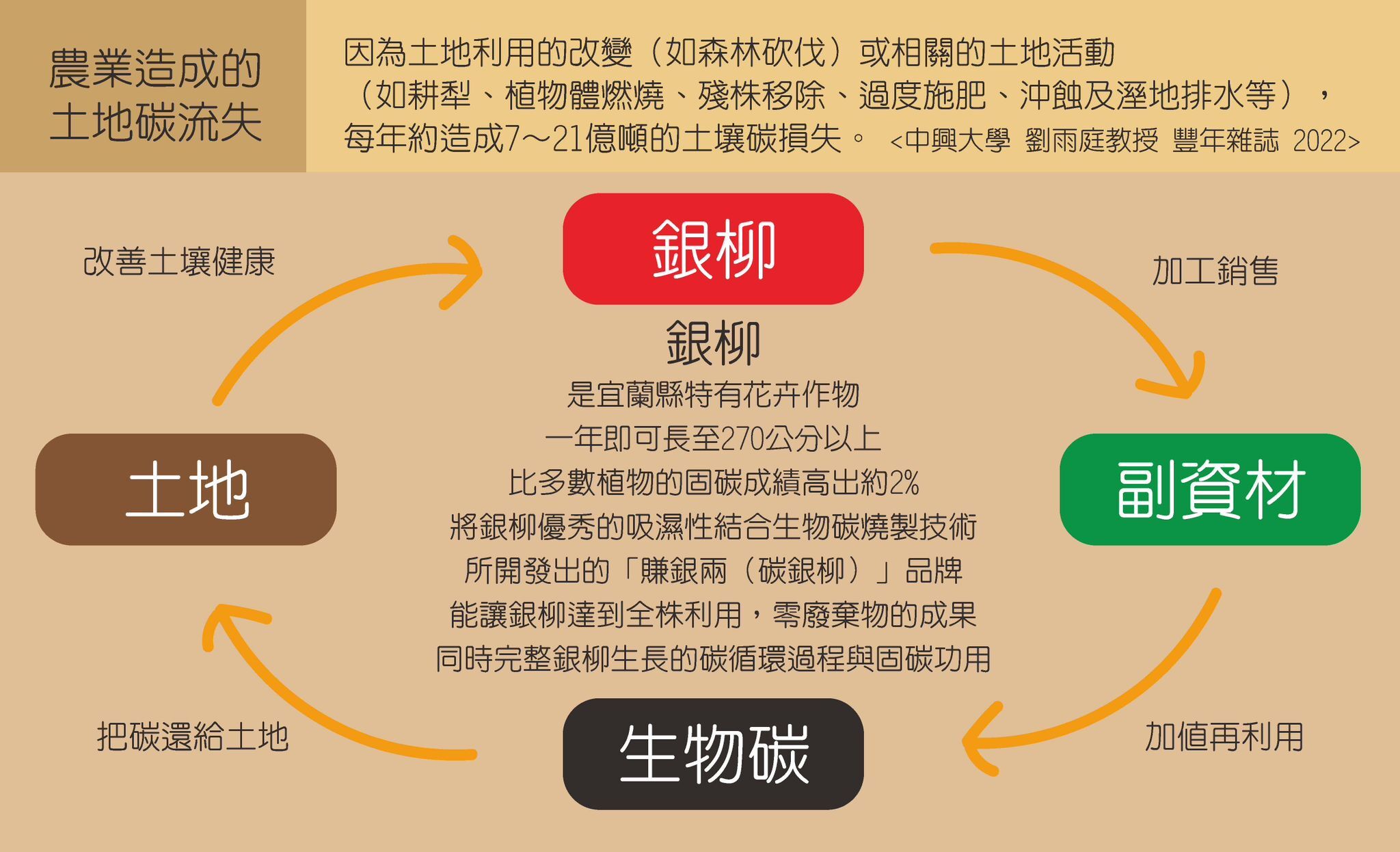 賺銀兩(碳銀柳)除濕除臭包(銀柳再生碳)｜攜帶型12g