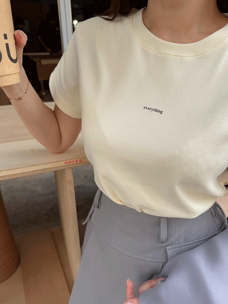 A3285-everything英文T