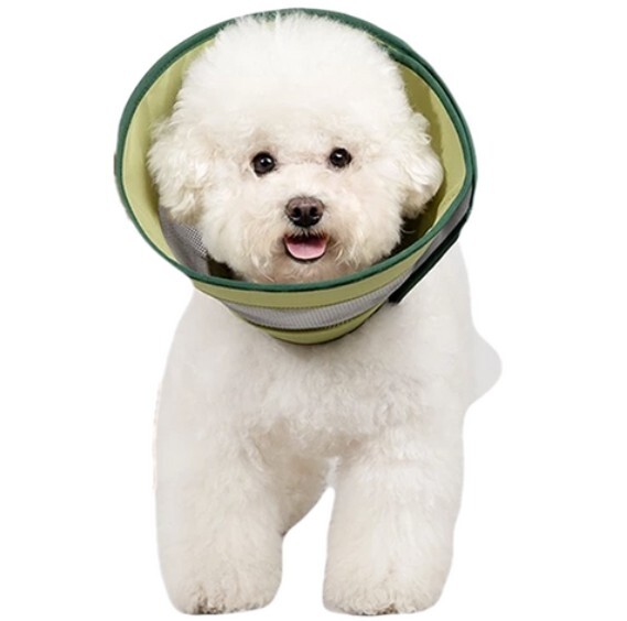 HIDREAM 貓狗通用 網格伊莉莎白圈．綠色 L