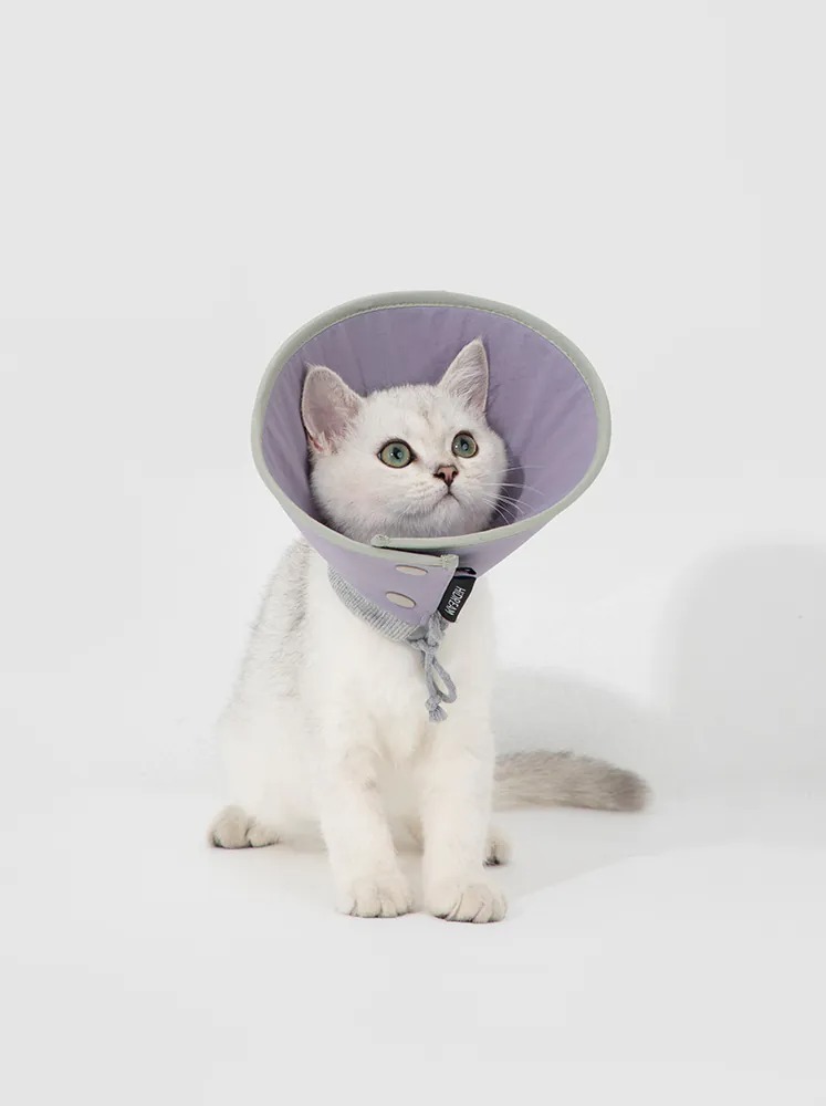 HIDREAM 貓狗通用 按扣伊莉莎白圈 ．紫色 M