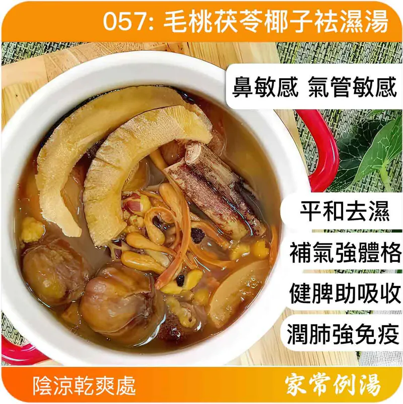 袪濕湯-毛桃茯苓椰子袪濕湯-去濕湯水推薦