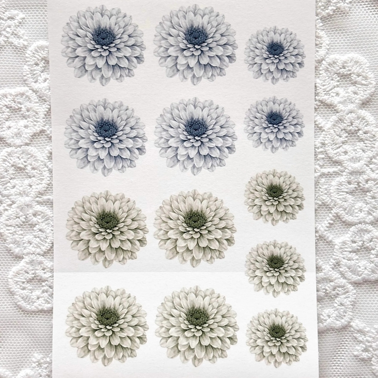 韓國 ggaggong．小福花 模造紙貼紙包