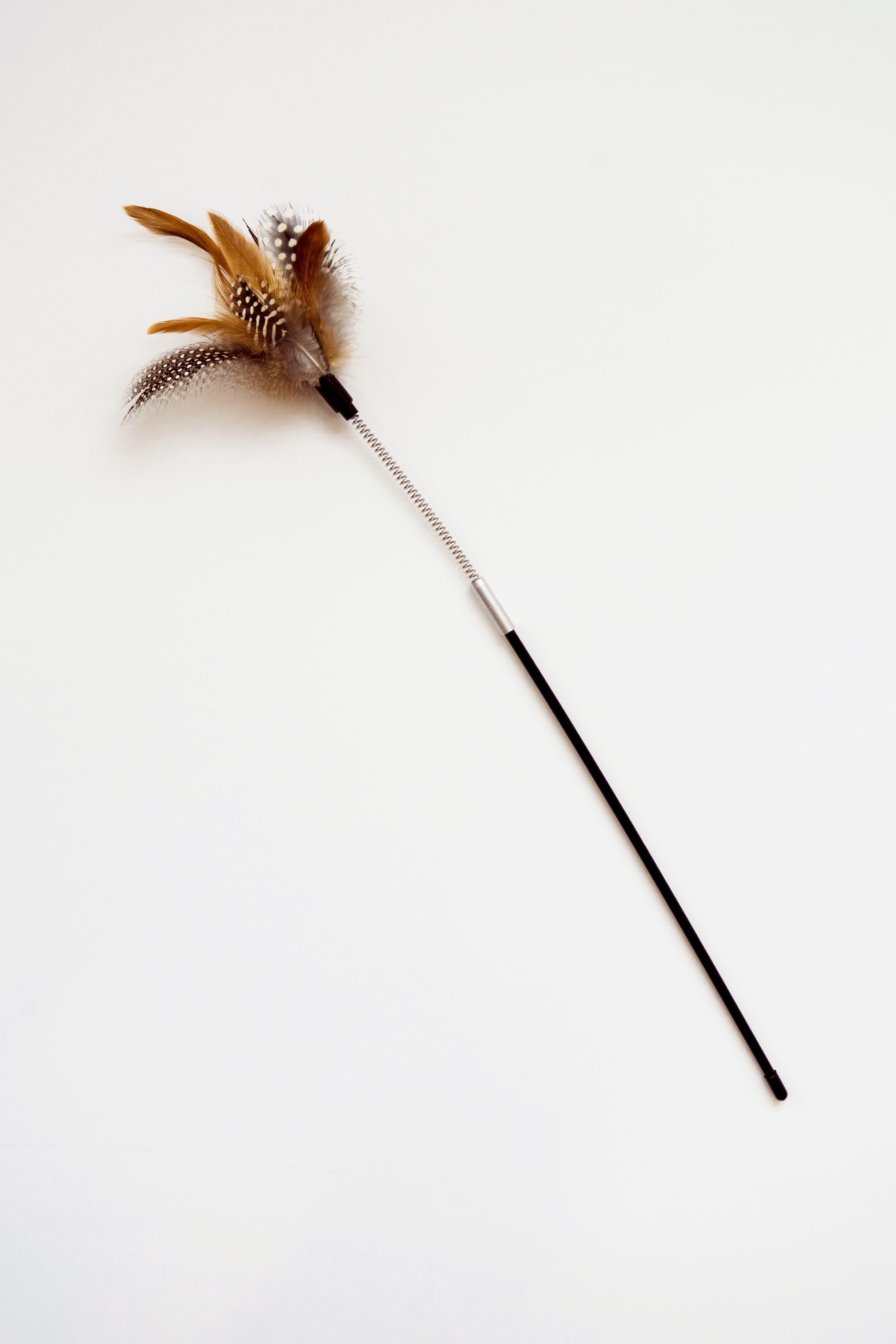 獅子坊 逗貓棒 雞毛掃系列．包租婆