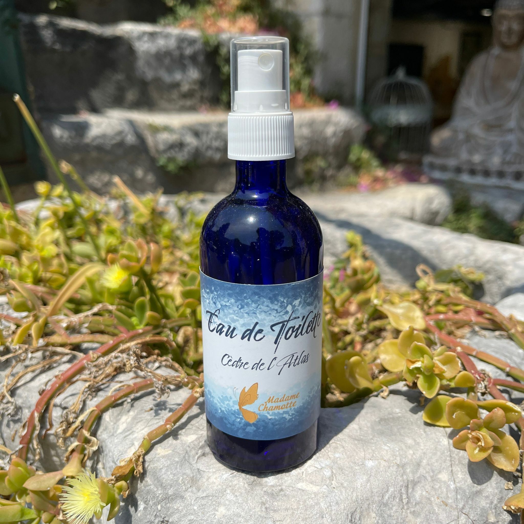 HOT-LLG0210-008 法國青檸香味噴霧100ml (A8)