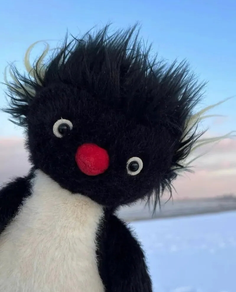 <等等! 這不是Pingu‼> JELLYCAT 北極南極系列 炸毛企鵝 毛絨玩偶