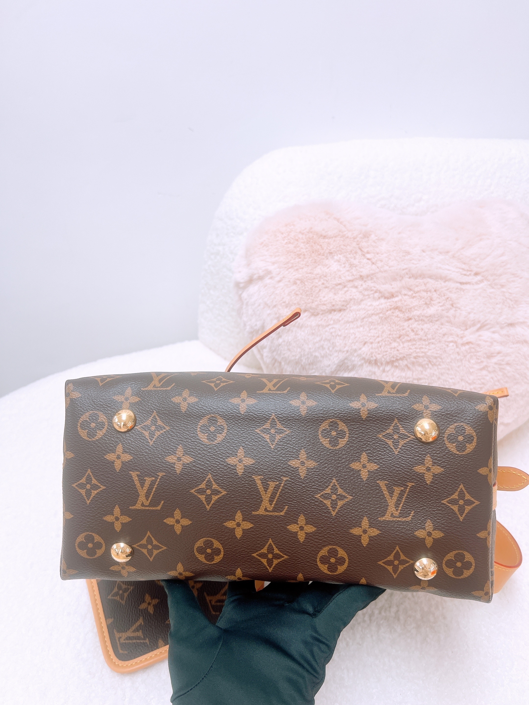 Lv carryall pm (brown monogram)