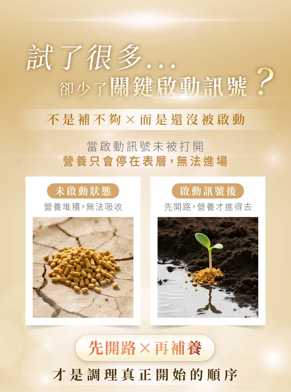 D&G,D&G Nutrition,BeNour本蘊膠囊,BeNour,本蘊,育髮膠囊,生髮膠囊,頭髮 保健食品,生髮 藥,生髮 推薦,育髮 推薦,養髮 食物,落髮 維他命,落髮 營養素,產後落髮,壓力落髮,休止期落髮,類PRP 育髮,noureL諾瑞歐,noureL,諾瑞歐,水解蛋黃粉,水解蛋黃胜肽,豌豆苗萃取物,燕窩萃取物,維生素C,維生素B,生物素,葉酸,根源調理,強韌髮根