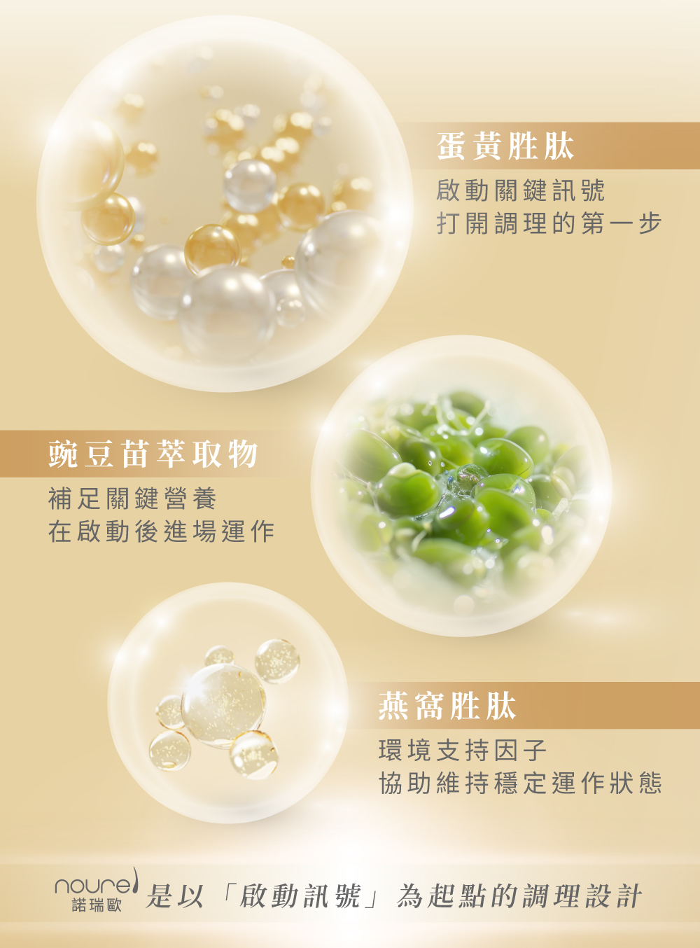 D&G,D&G Nutrition,BeNour本蘊膠囊,BeNour,本蘊,育髮膠囊,生髮膠囊,頭髮 保健食品,生髮 藥,生髮 推薦,育髮 推薦,養髮 食物,落髮 維他命,落髮 營養素,產後落髮,壓力落髮,休止期落髮,類PRP 育髮,noureL諾瑞歐,noureL,諾瑞歐,水解蛋黃粉,水解蛋黃胜肽,豌豆苗萃取物,燕窩萃取物,維生素C,維生素B,生物素,葉酸,根源調理,強韌髮根