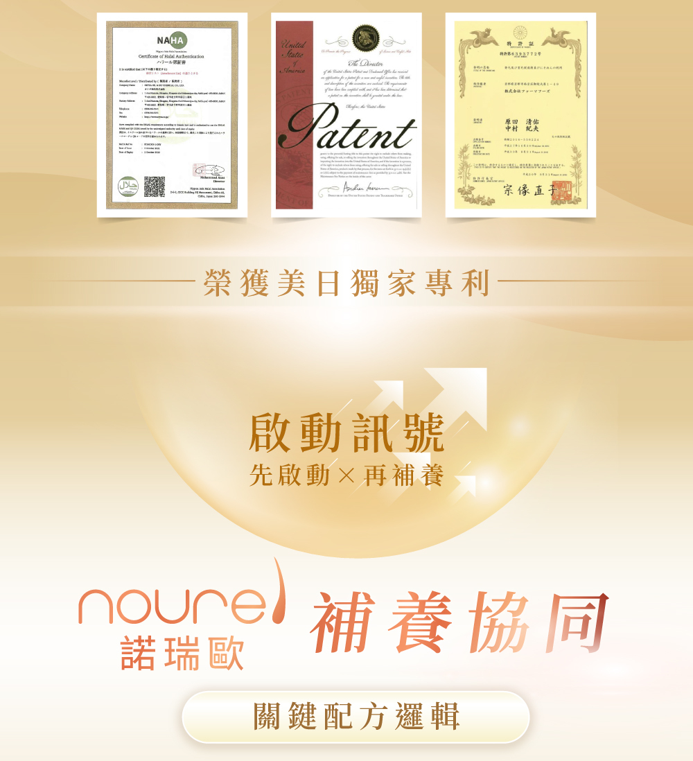 D&G,D&G Nutrition,BeNour本蘊膠囊,BeNour,本蘊,育髮膠囊,生髮膠囊,頭髮 保健食品,生髮 藥,生髮 推薦,育髮 推薦,養髮 食物,落髮 維他命,落髮 營養素,產後落髮,壓力落髮,休止期落髮,類PRP 育髮,noureL諾瑞歐,noureL,諾瑞歐,水解蛋黃粉,水解蛋黃胜肽,豌豆苗萃取物,燕窩萃取物,維生素C,維生素B,生物素,葉酸,根源調理,強韌髮根