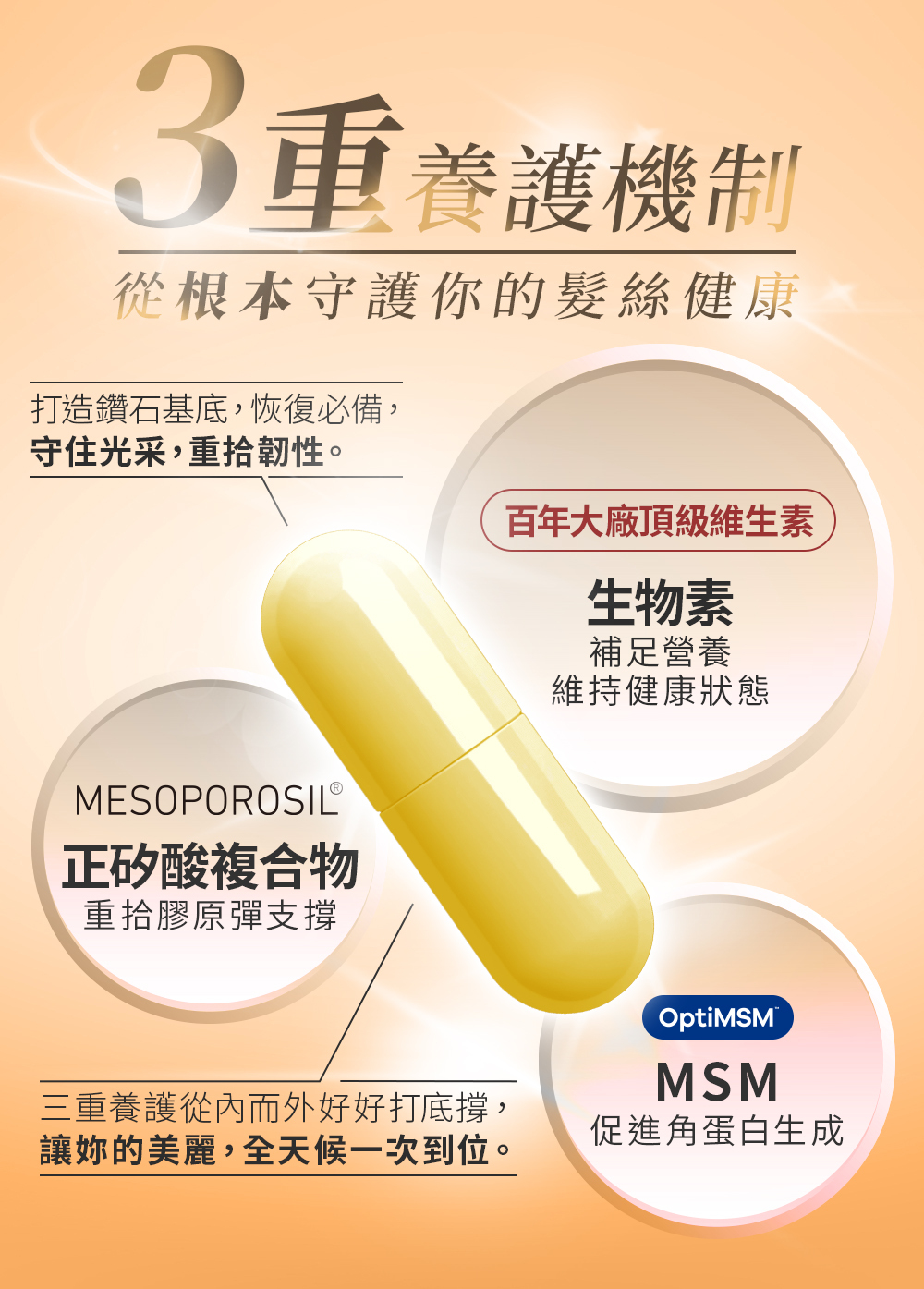 D&G,D&G Nutrition,FRC,女性養髮,髮絲豐盈,頭皮養護,髮絲強韌,日常補給,生物素,MSM,矽,保健膠囊,營養補充,頭髮 保健食品,生髮 藥,生髮 推薦,育髮 推薦,養髮 食物,落髮 維他命,落髮 營養素,產後落髮,壓力落髮,休止期落髮,類PRP 育髮