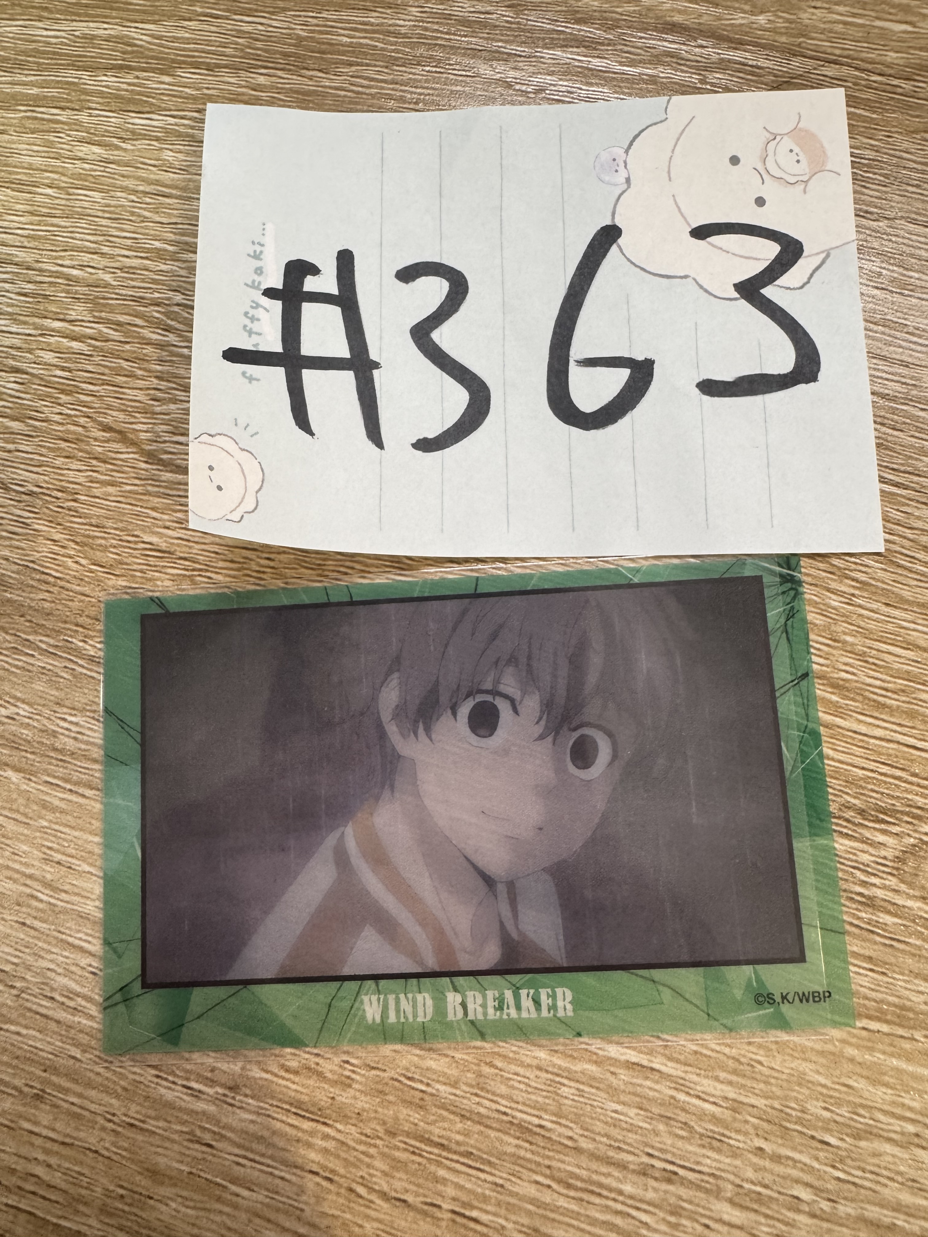 WIND BREAKER 兔耳山 小卡#363