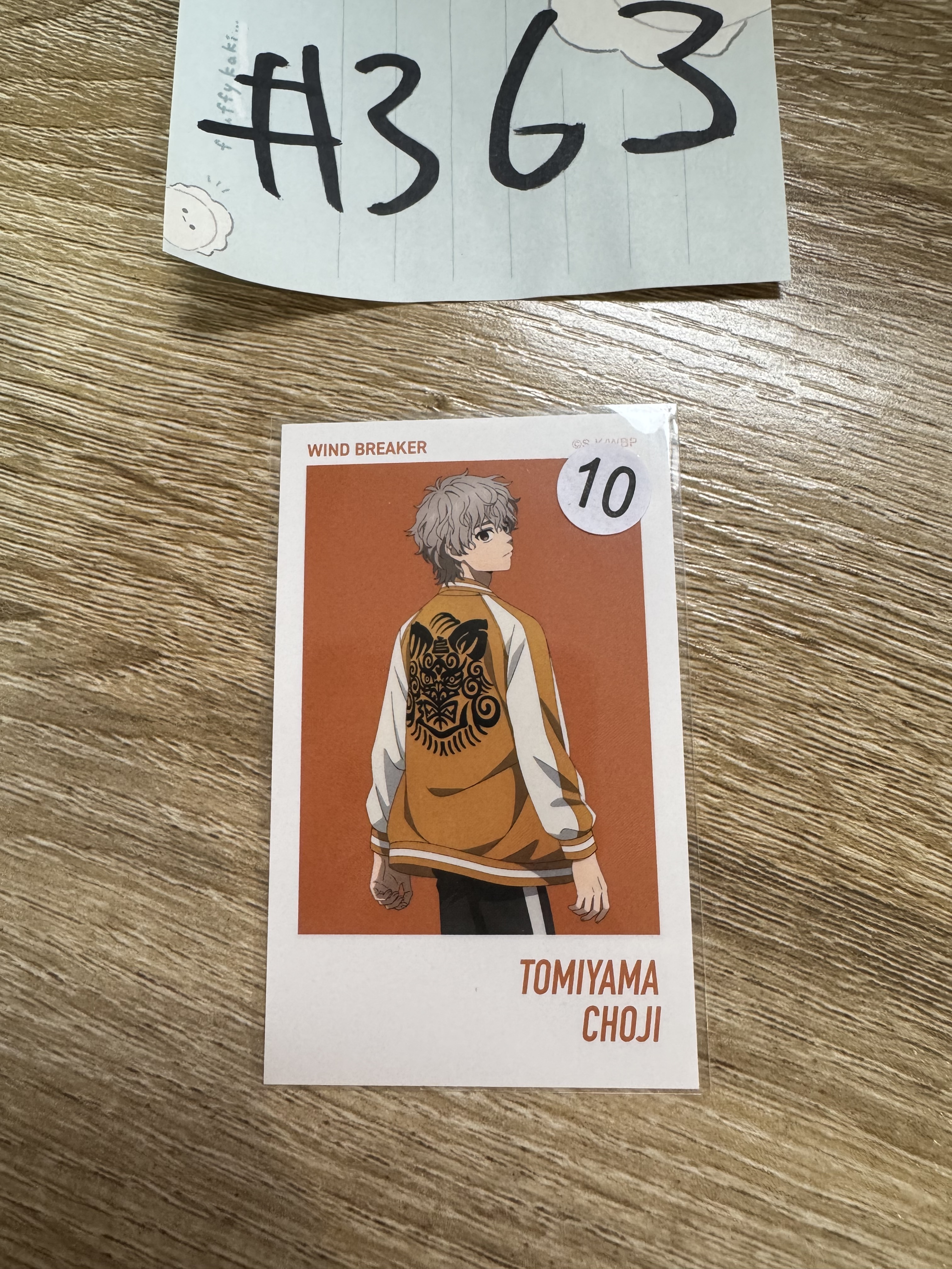 WIND BREAKER 兔耳山 拍立得#363