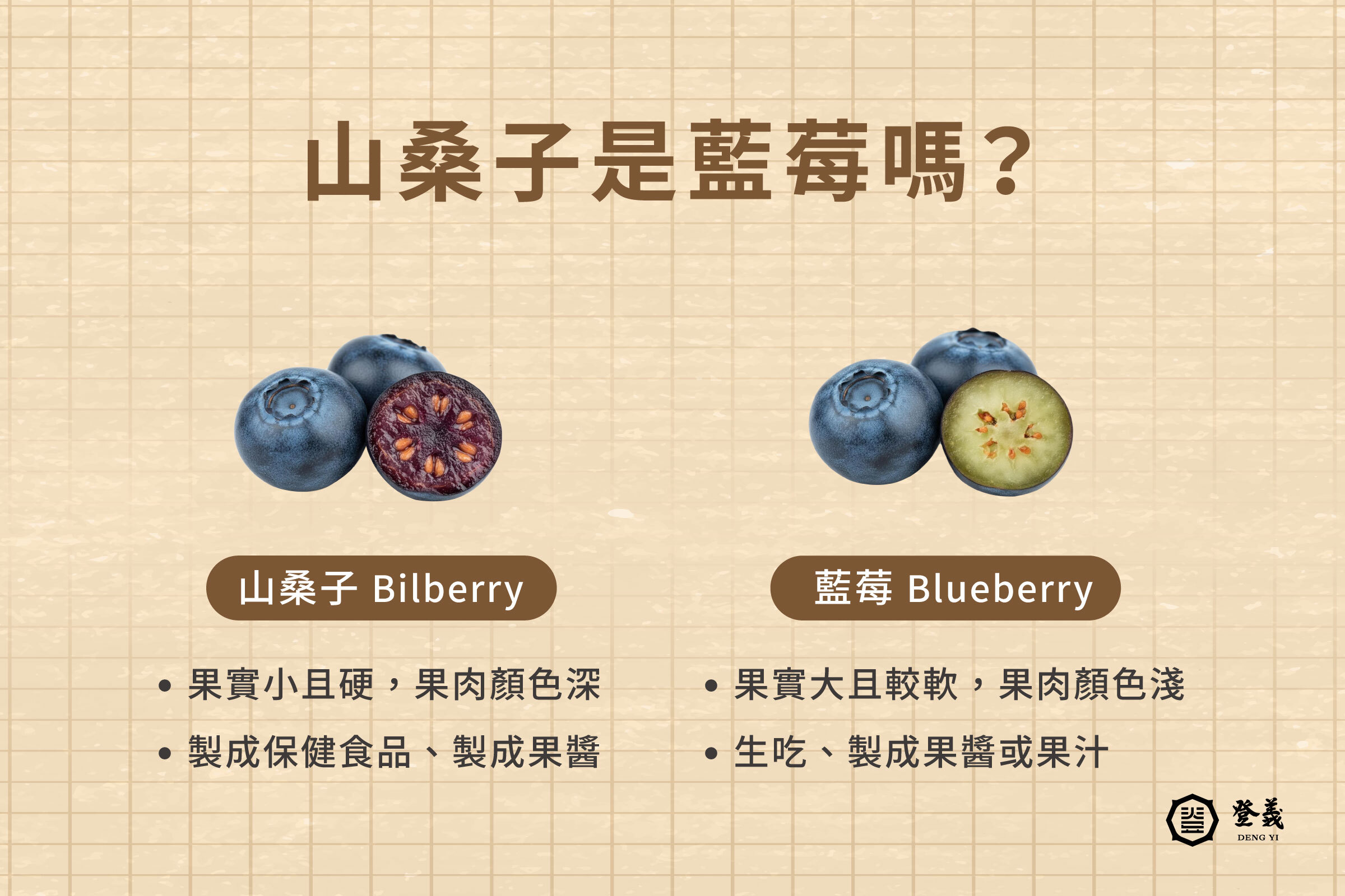 山桑子是藍莓嗎？兩者有什麼不同？