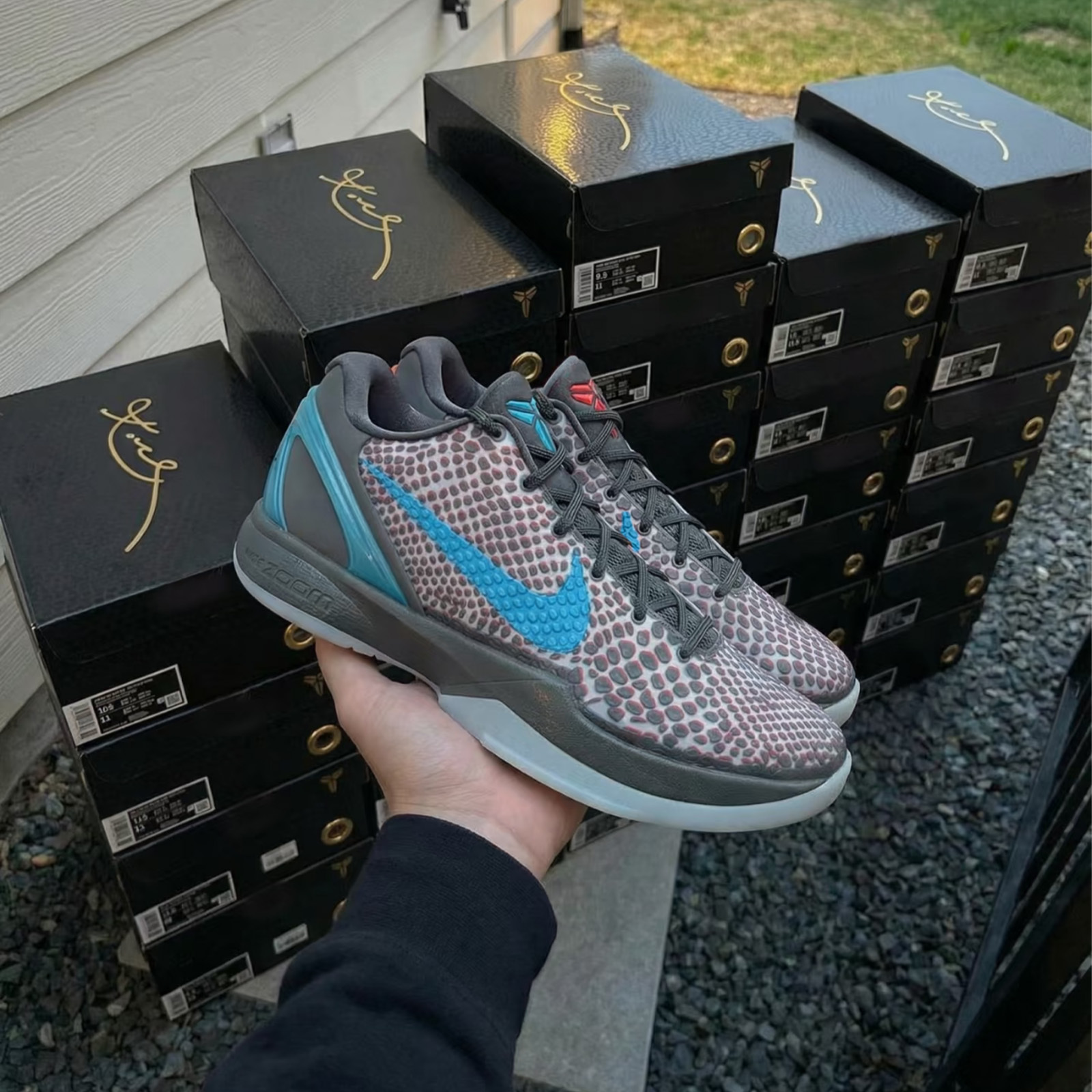 Nike Kobe 6 Protro All-Star「Hollywood 3D」曼巴 蛇鱗 紅藍鴛鴦 立體視覺 限定配色 經典復刻 實戰籃球鞋 IQ3902-002