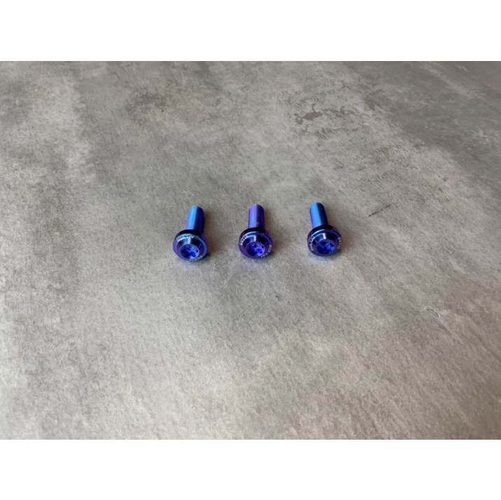 【HUATAI】皇鈦 正鈦合金 正64鈦 鈦螺絲 土除螺絲 總泵 支架 車牌 風扇 M6 1.0牙