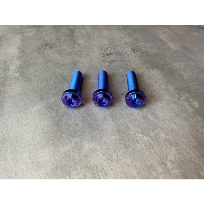 【HUATAI】皇鈦 正 鈦合金 鈦螺絲 後視鏡 排氣管 避震器 卡鉗 卡座 螺絲 M10 1.25 1.5 反牙