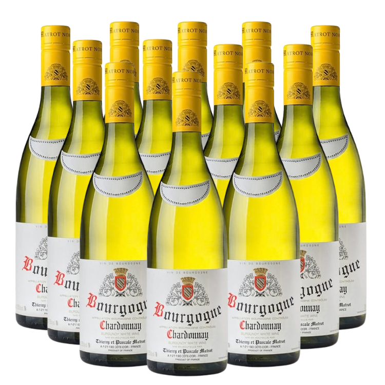 Domaine Matrot Bourgogne Blanc 2023 (Case of 12 bottles x 750ml)