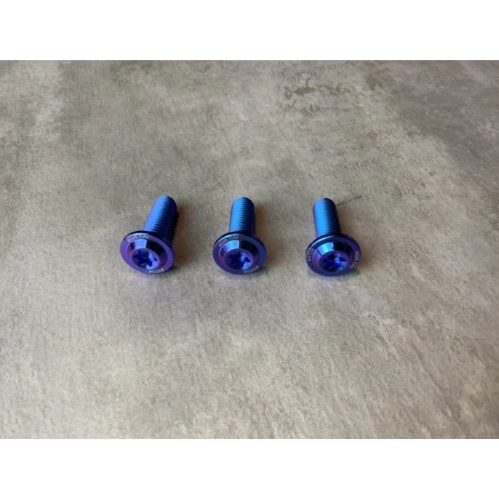 【HUATAI】皇鈦 正 鈦合金 64鈦 鈦螺絲 碟盤螺絲 排骨螺絲 大螃蟹 後扶手 M8 1.25牙