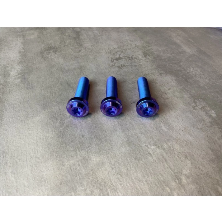 【HUATAI】皇鈦 正 鈦合金 64鈦 鈦螺絲 碟盤螺絲 排骨螺絲 大螃蟹 後扶手 M8 1.25牙